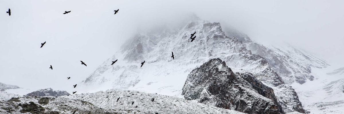 Arts & Entertainment