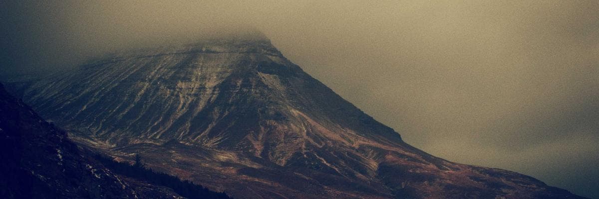 Non-profit Organizations