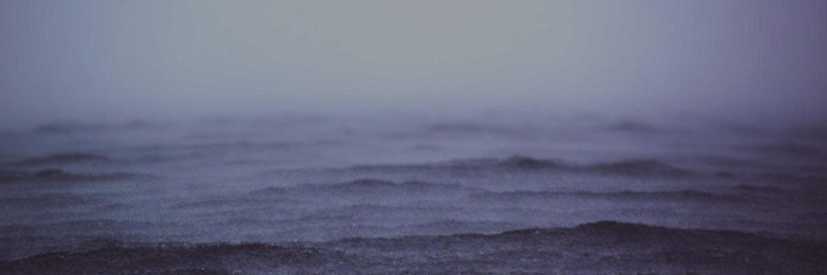 Nonprofit Organizations