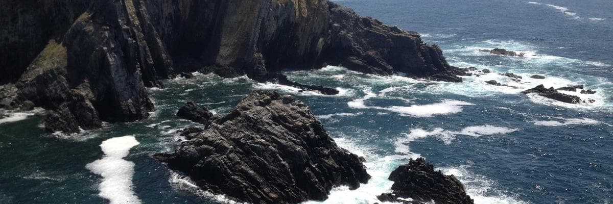 Senior & Social Planning