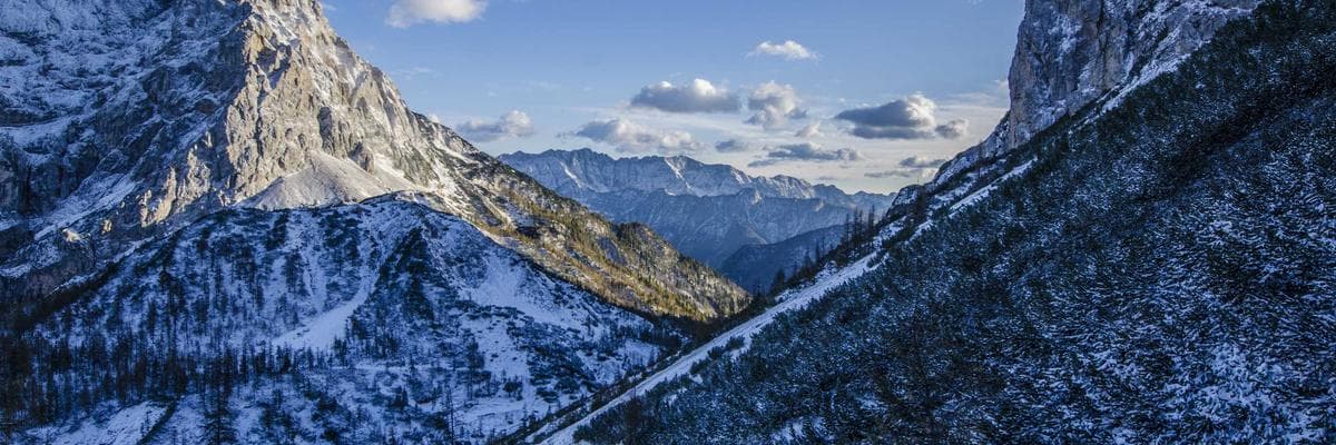 Senior Living & Assisted Living