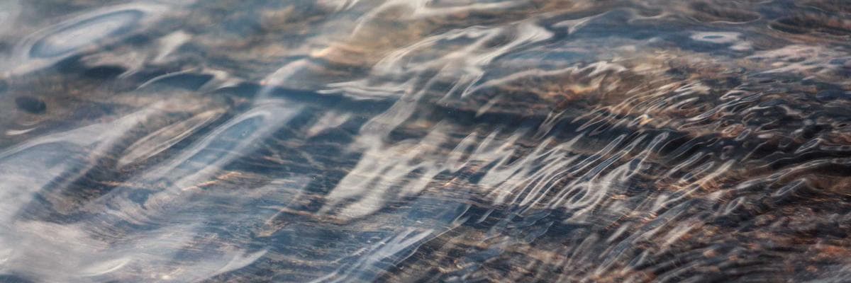 Senior Living & Care